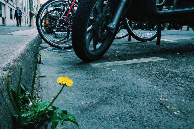 亂移車會出事嗎?常見爭議、可能罰則與安全處理方式整理