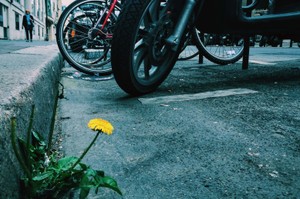 亂移車會出事嗎？常見爭議、可能罰則與安全處理方式整理