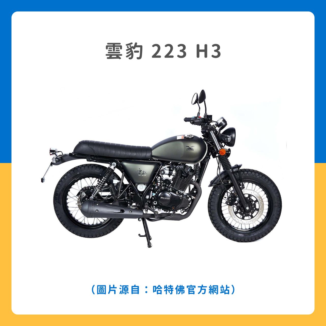 雲豹 223 H3
